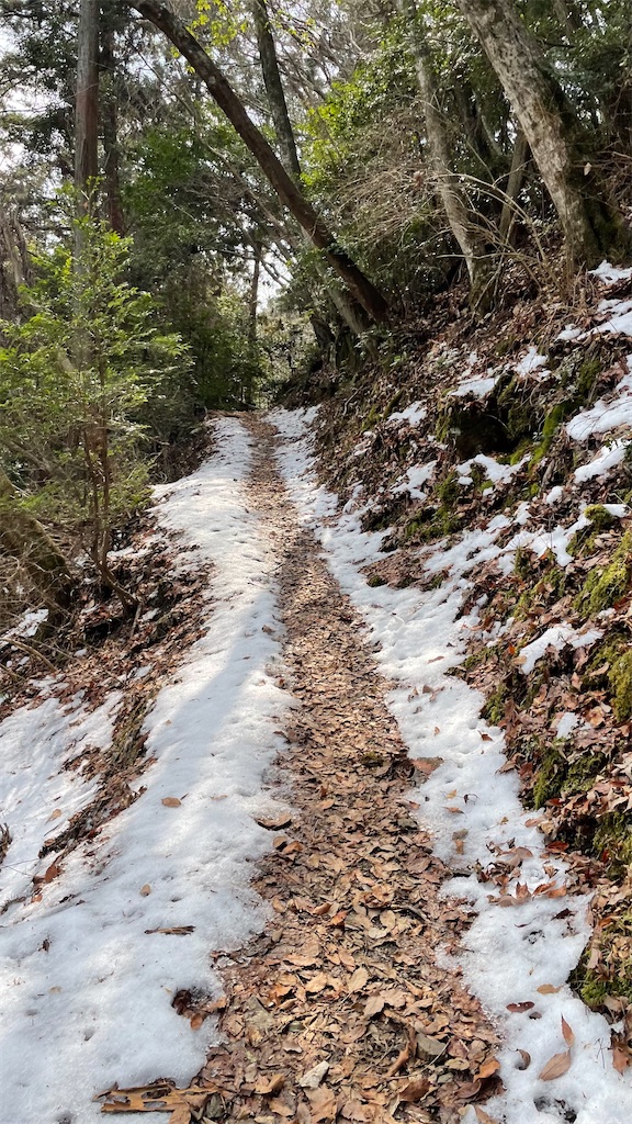 f:id:RunTazzo:20220301225641j:image