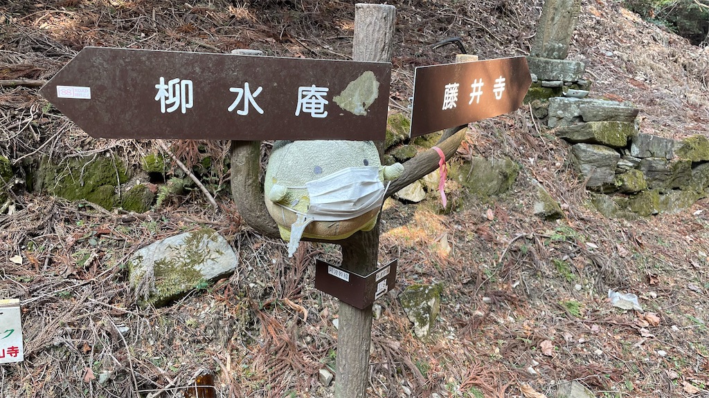 f:id:RunTazzo:20220301225828j:image