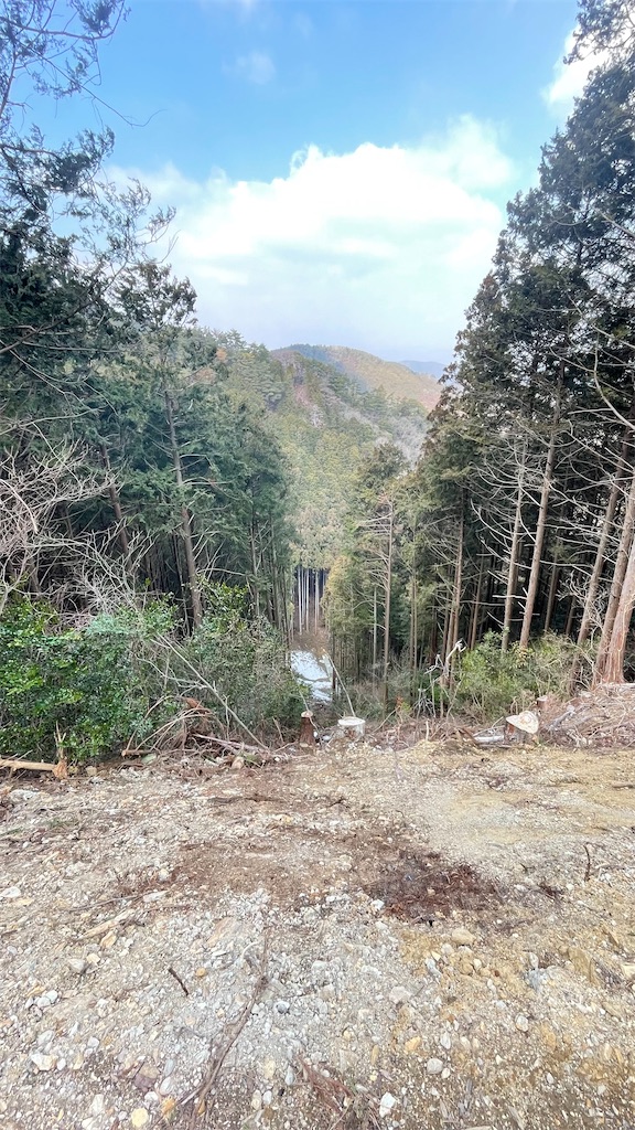 f:id:RunTazzo:20220301232759j:image