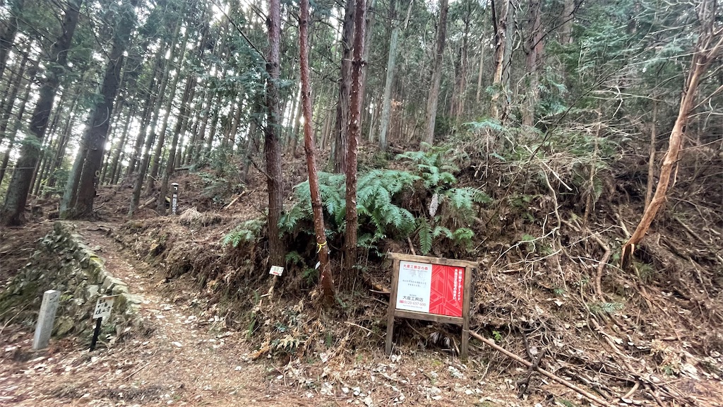 f:id:RunTazzo:20220301233902j:image