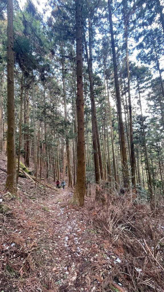 f:id:RunTazzo:20220301234404j:image