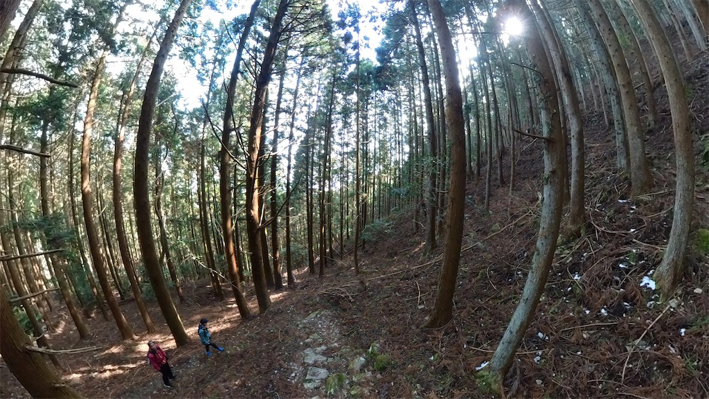 f:id:RunTazzo:20220301234447j:image