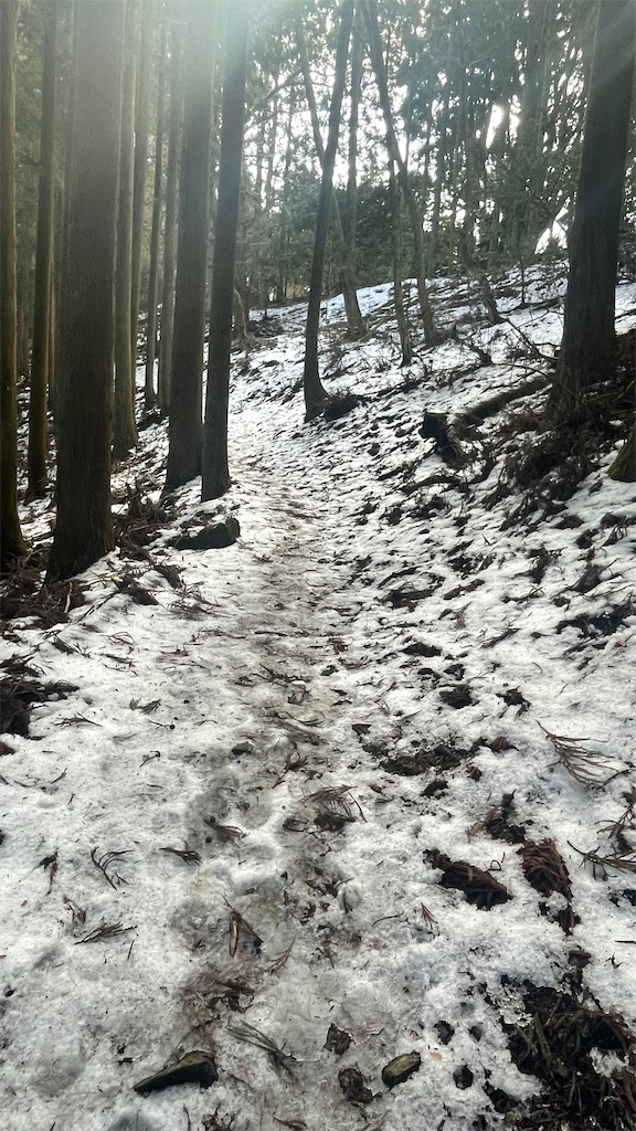 f:id:RunTazzo:20220301234836j:image