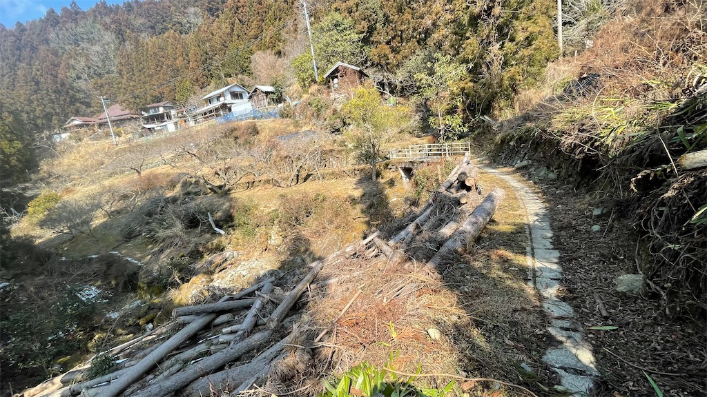 f:id:RunTazzo:20220302003227j:image