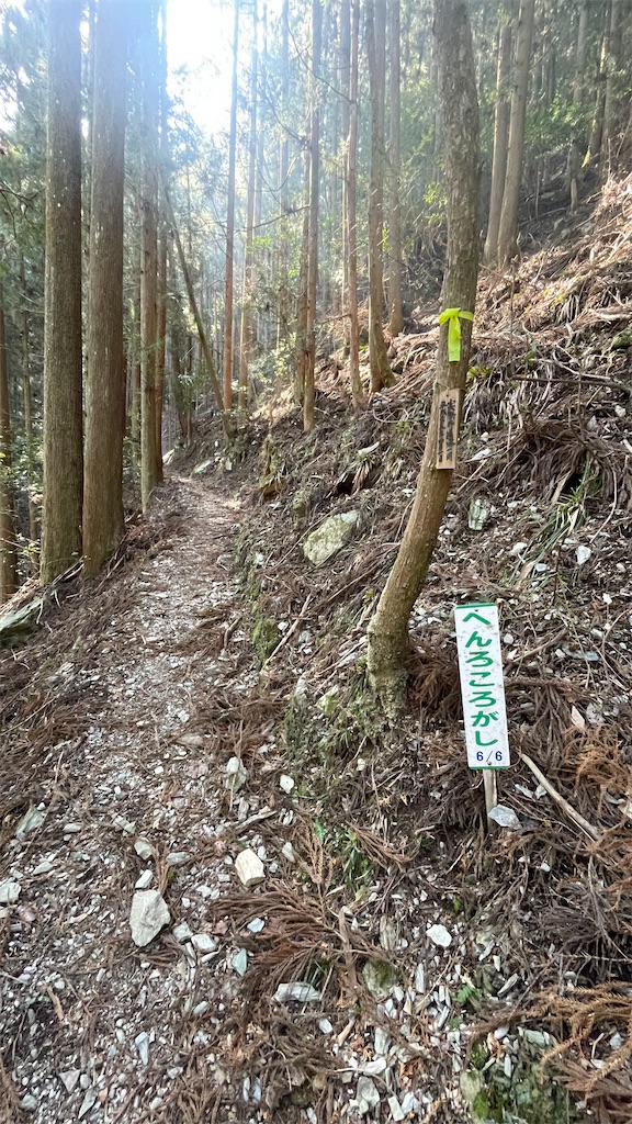 f:id:RunTazzo:20220302232854j:image