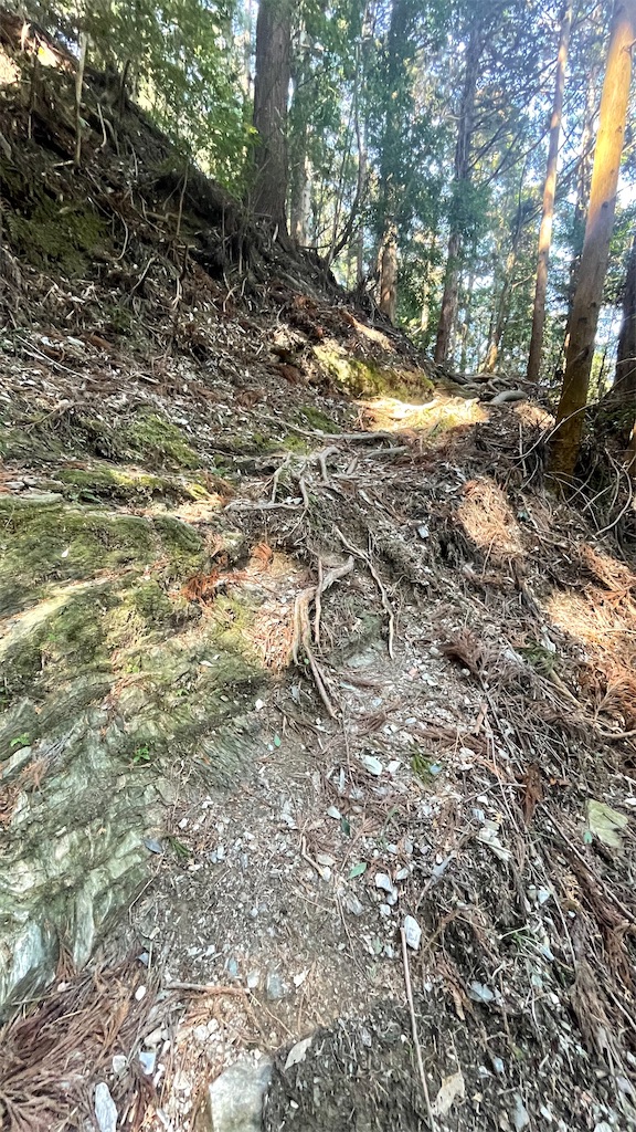 f:id:RunTazzo:20220302233424j:image