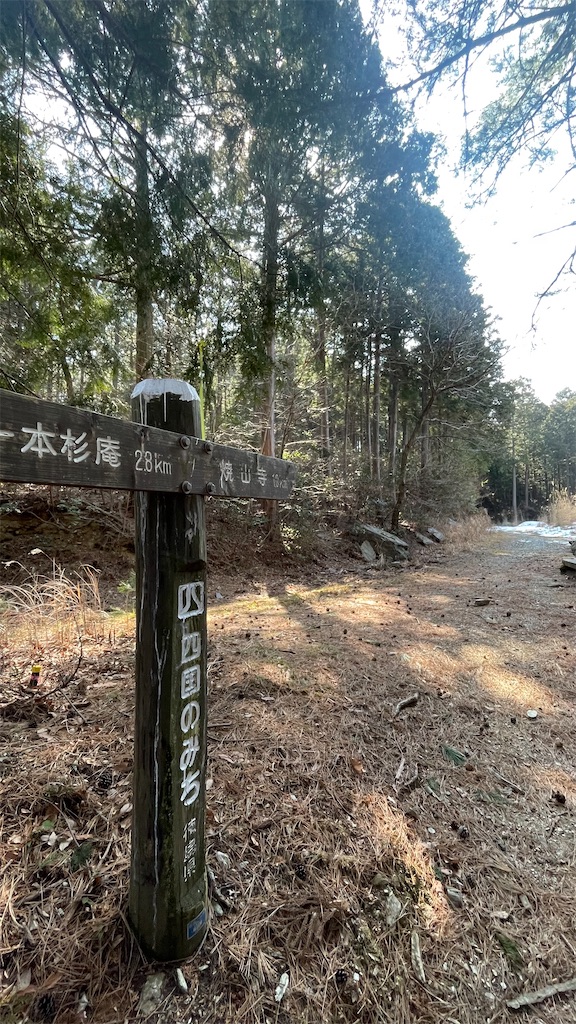 f:id:RunTazzo:20220302234054j:image