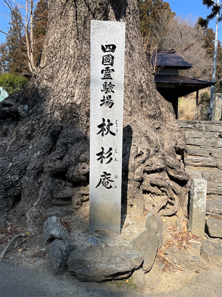 f:id:RunTazzo:20220303155633j:image