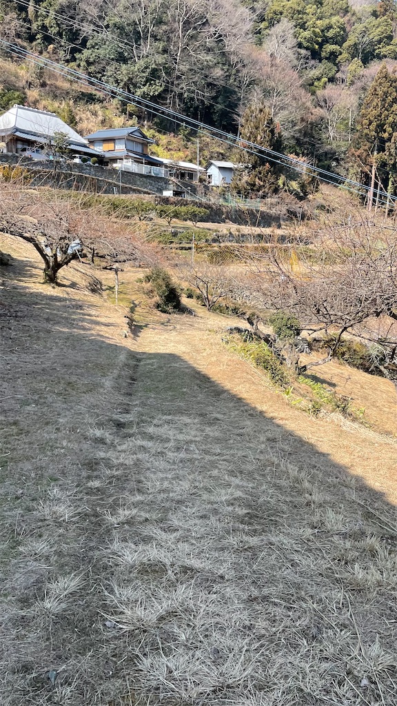 f:id:RunTazzo:20220303165558j:image