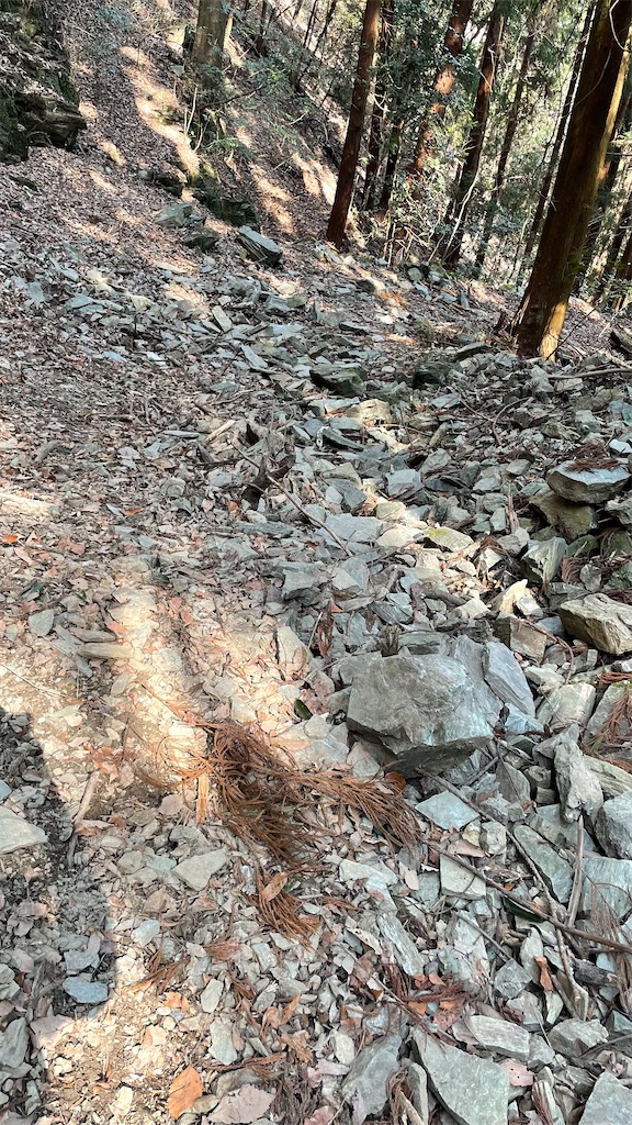 f:id:RunTazzo:20220303165950j:image