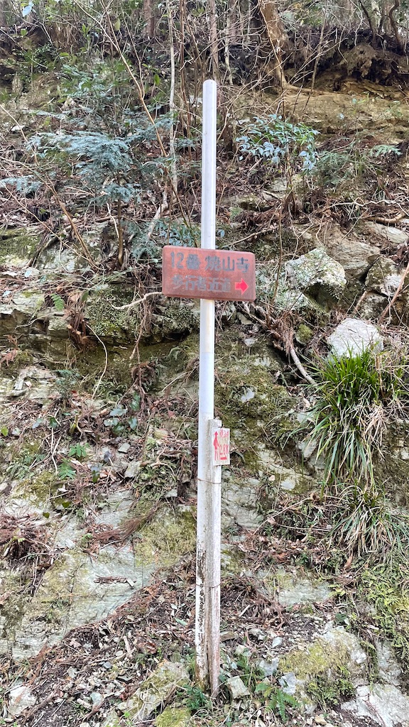 f:id:RunTazzo:20220303224515j:image