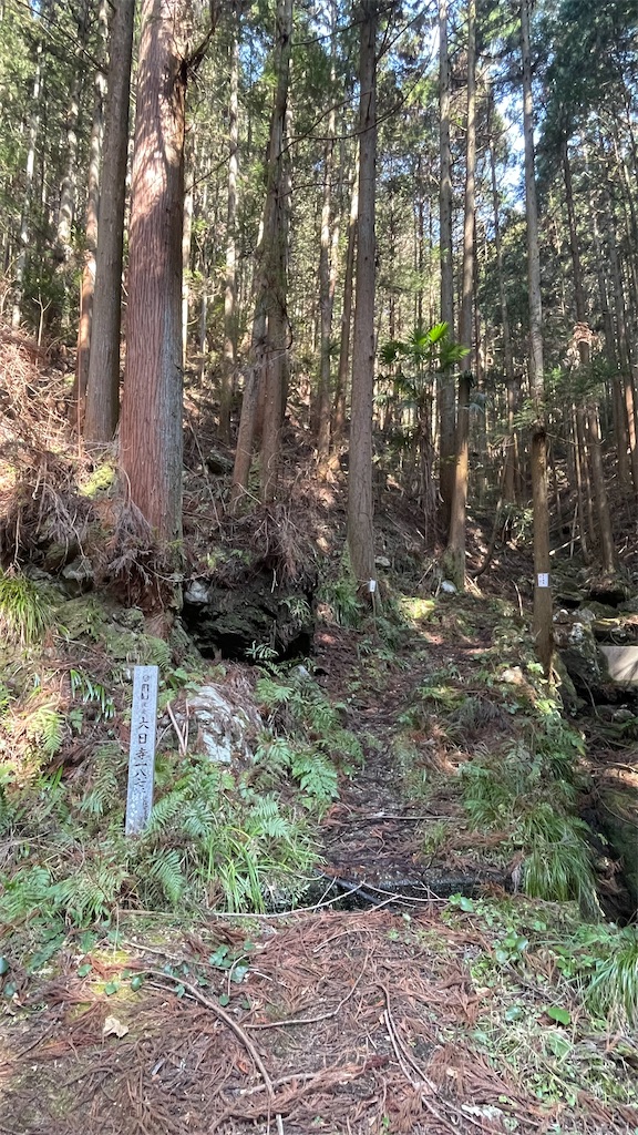 f:id:RunTazzo:20220304000702j:image