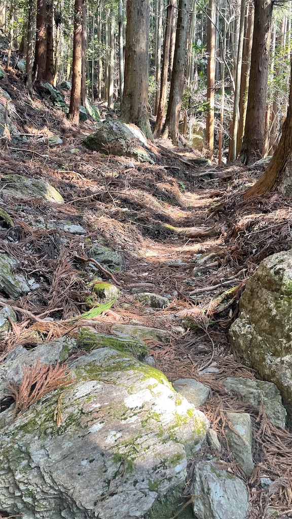 f:id:RunTazzo:20220304123440j:image