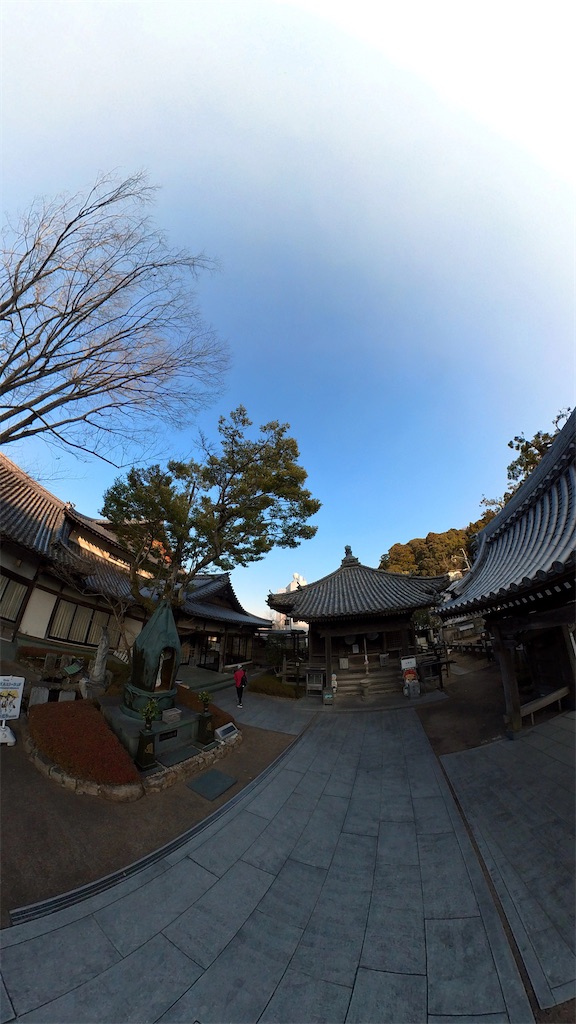 f:id:RunTazzo:20220304151007j:image