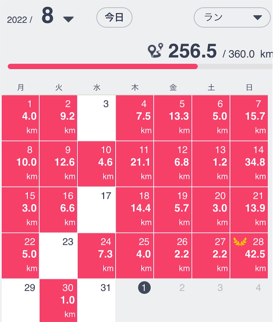 f:id:RunTazzo:20220901222000j:image