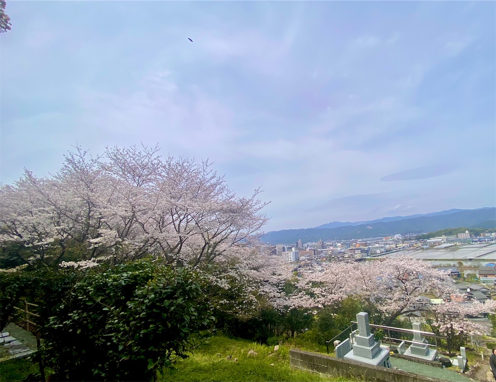 f:id:RunTazzo:20240407073925j:image