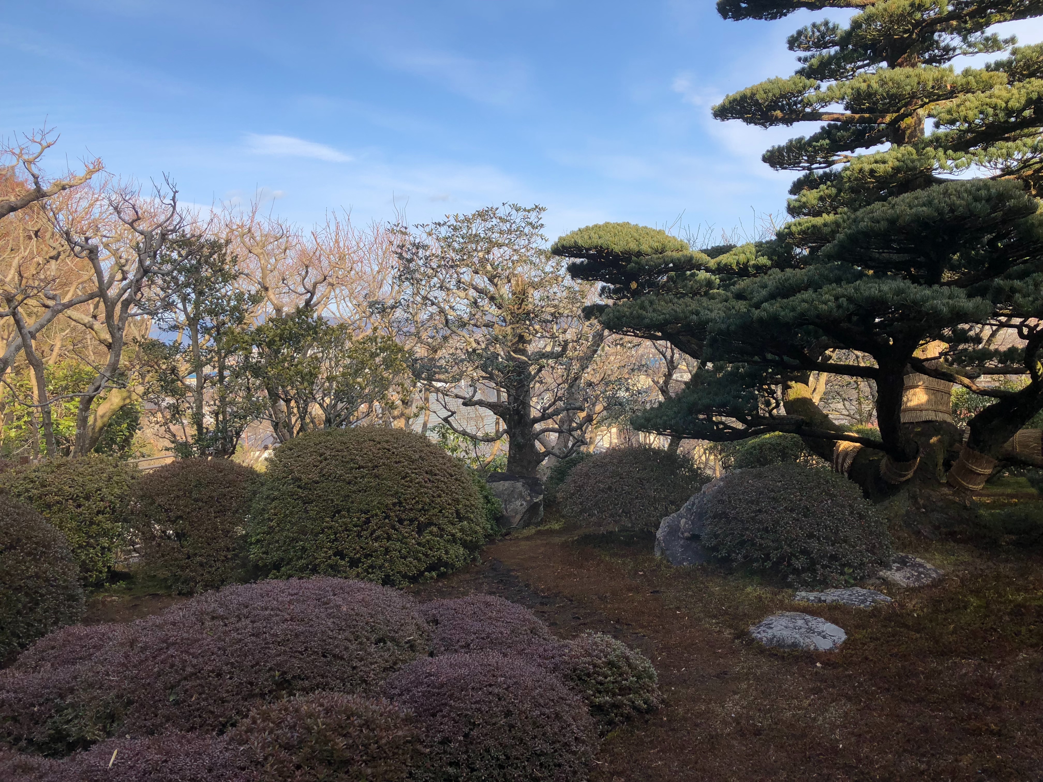 f:id:Runa25:20180219225312j:image f:id:Runa25:20180219225312j:image
