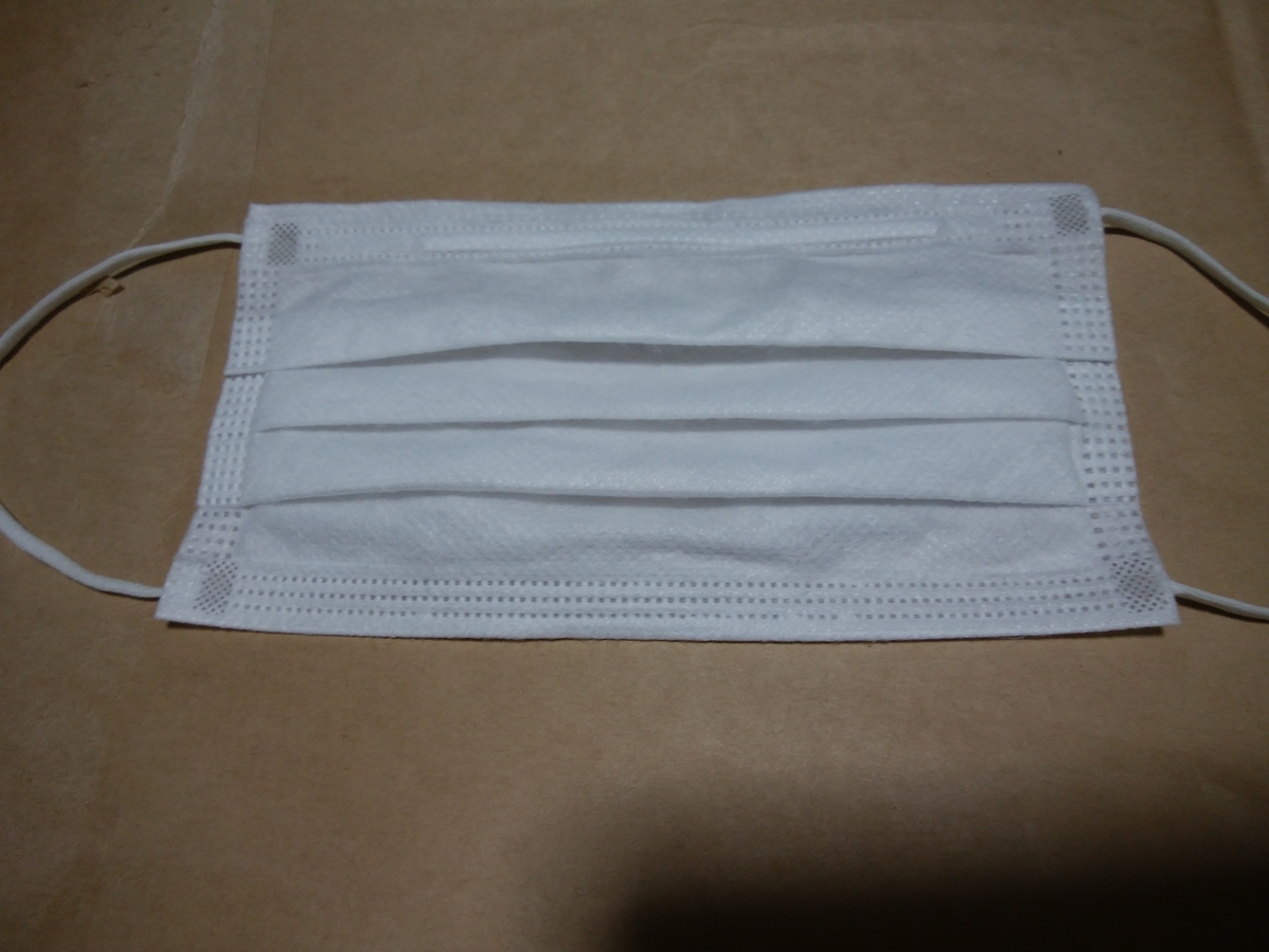 f:id:Runner_TokyoMarathon2020:20200308192609j:plain
