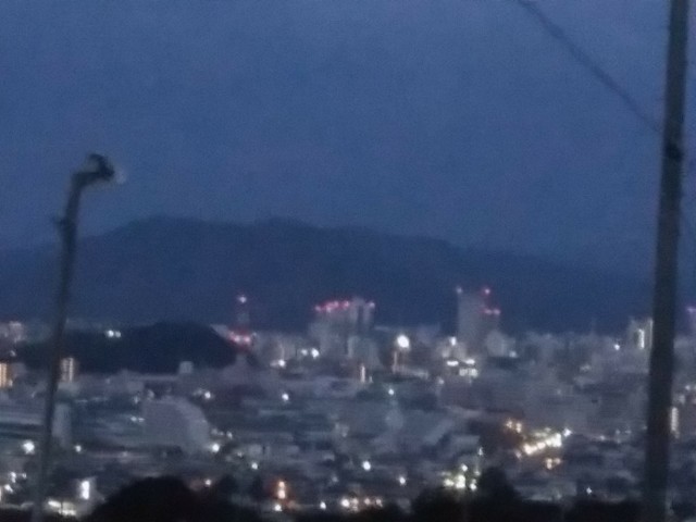f:id:Runner_TokyoMarathon2020:20200318075807j:image