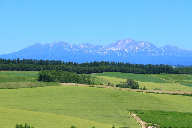 f:id:Runrenrun:20161231182043j:plain f:id:Runrenrun:20161231182043j:plain