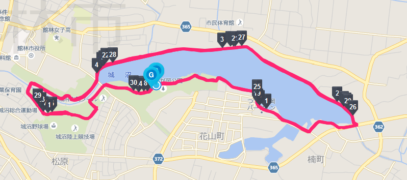群馬30Kコース 群馬30Kのコースで城沼を周回する、1周6kmのコースを5周する30キロのコースです。。