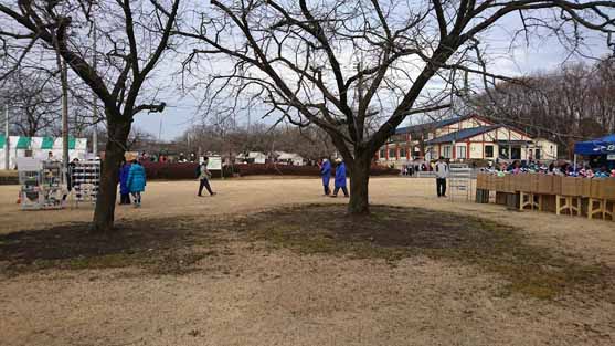下野市天平マラソン大会会場の様子