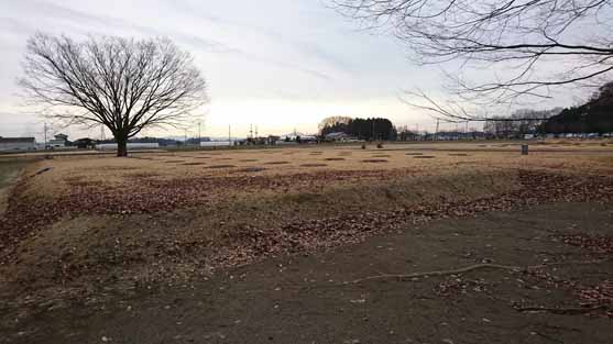 下野市天平マラソン大会会場の国分尼寺跡