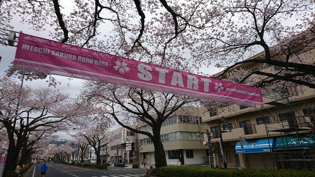 第19回日立さくらロードレース大会スタート地点の平和通り 第19回日立さくらロードレース大会スタート地点の平和通り