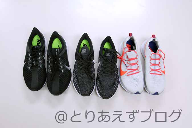 f:id:Runrenrun:20190430180735j:plain