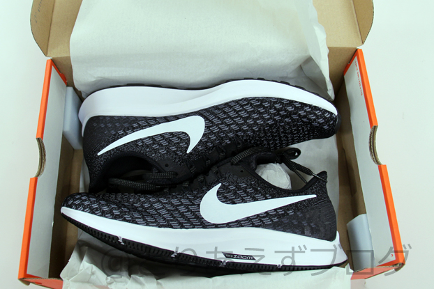 f:id:Runrenrun:20190522142813j:plain