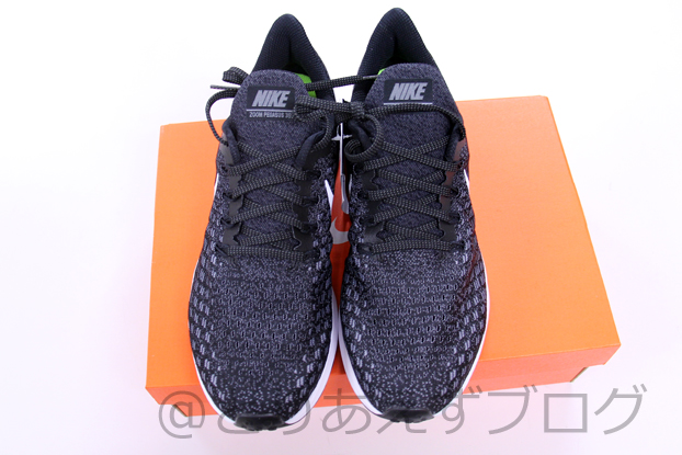 f:id:Runrenrun:20190522142824j:plain