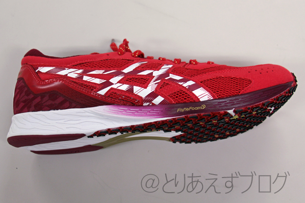 ASICS TARTHEREDGE TENKA を購入してみた - とりあえずブログ