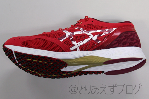 ASICS TARTHEREDGE TENKA を購入してみた - とりあえずブログ