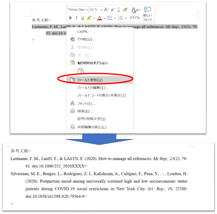 f:id:RuntaScience:20210102101518p:plain