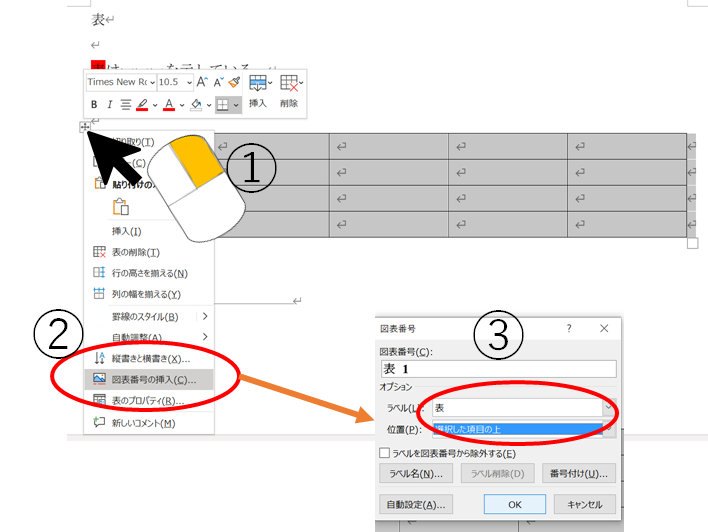 f:id:RuntaScience:20210103194036p:plain