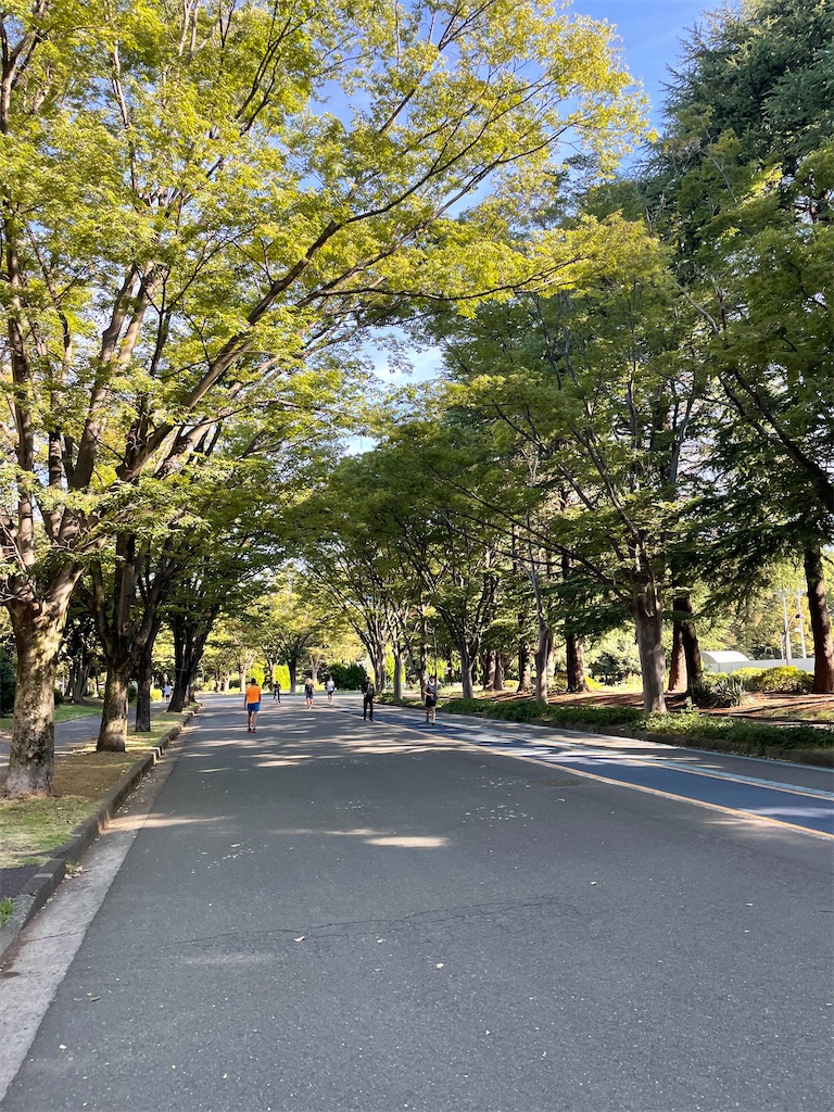 f:id:Rupin:20230903205205j:image f:id:Rupin:20230903205205j:image