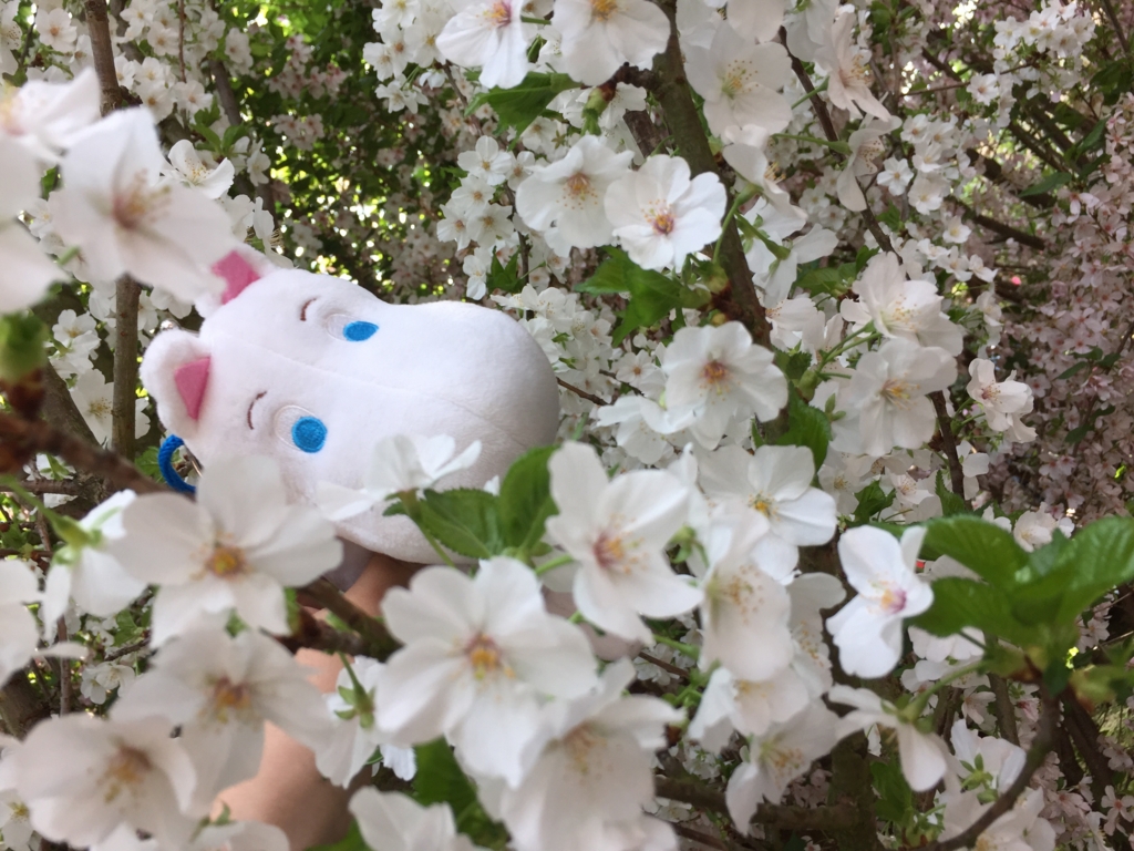 f:id:Ruuuico:20170331113032j:plain f:id:Ruuuico:20170331113032j:plain