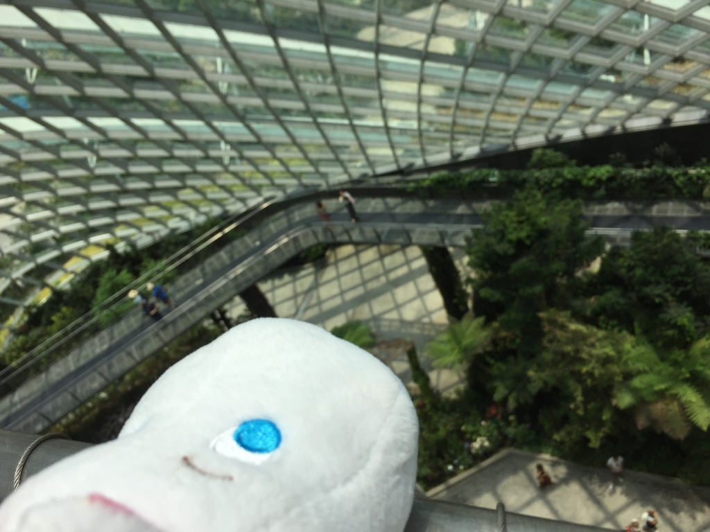 f:id:Ruuuico:20170331113700j:plain f:id:Ruuuico:20170331113700j:plain