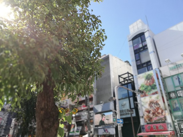 f:id:Rxxx13:20181116210919j:image f:id:Rxxx13:20181116210919j:image