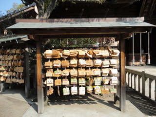 DSC06853.JPG