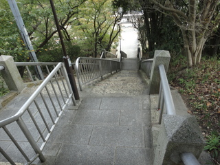 DSC06863.JPG