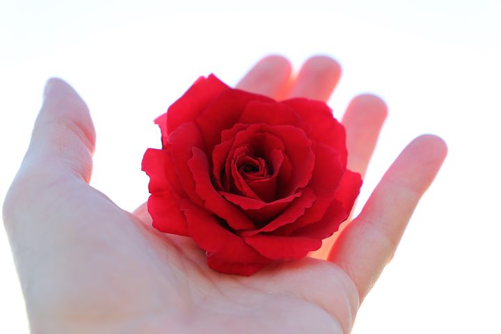 f:id:Ryo11:20201026210944j:plain f:id:Ryo11:20201026210944j:plain