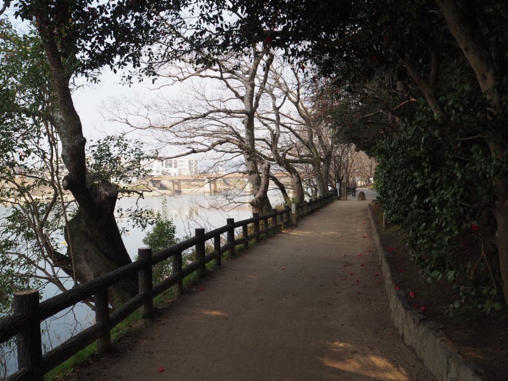 f:id:Ryo18:20170528115612j:plain