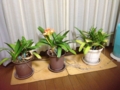 20120318215230