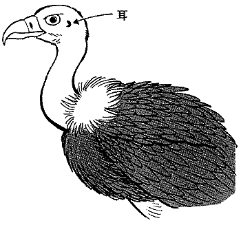 f:id:RyoAnna:20100116150105g:image:right,h100,w100