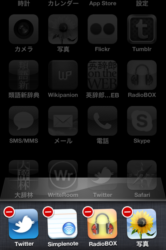 f:id:RyoAnna:20100626155410j:image:h300