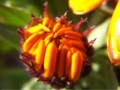 20120310233754