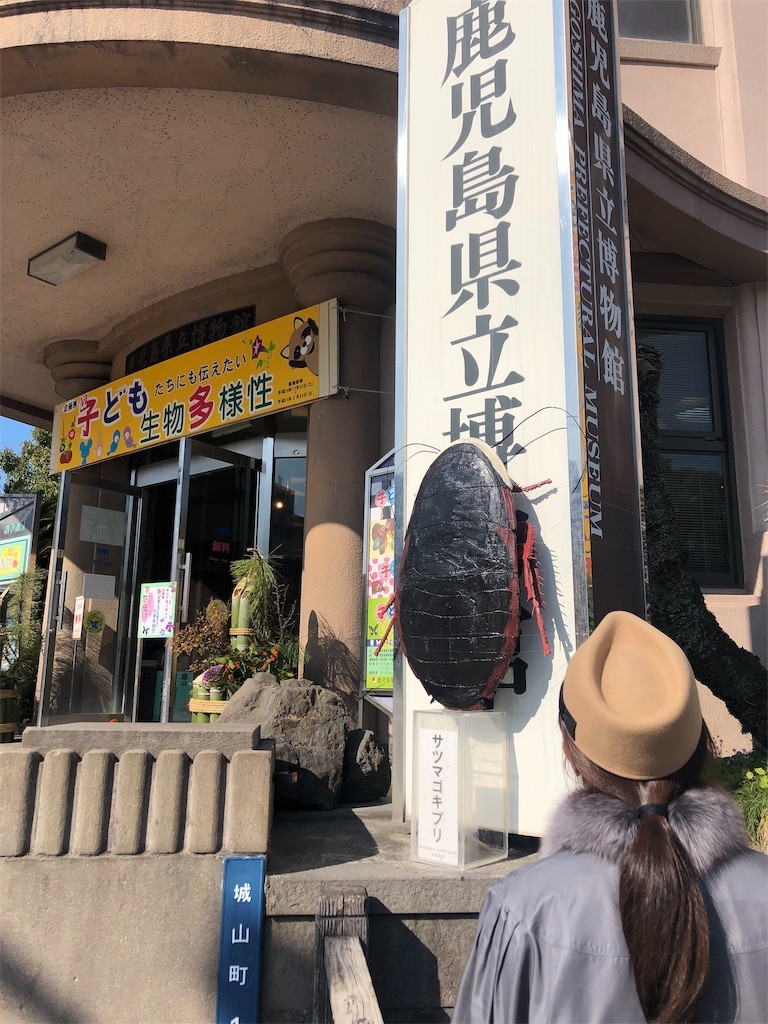 f:id:RyoKAWAGOE:20190114103439j:image f:id:RyoKAWAGOE:20190114103439j:image