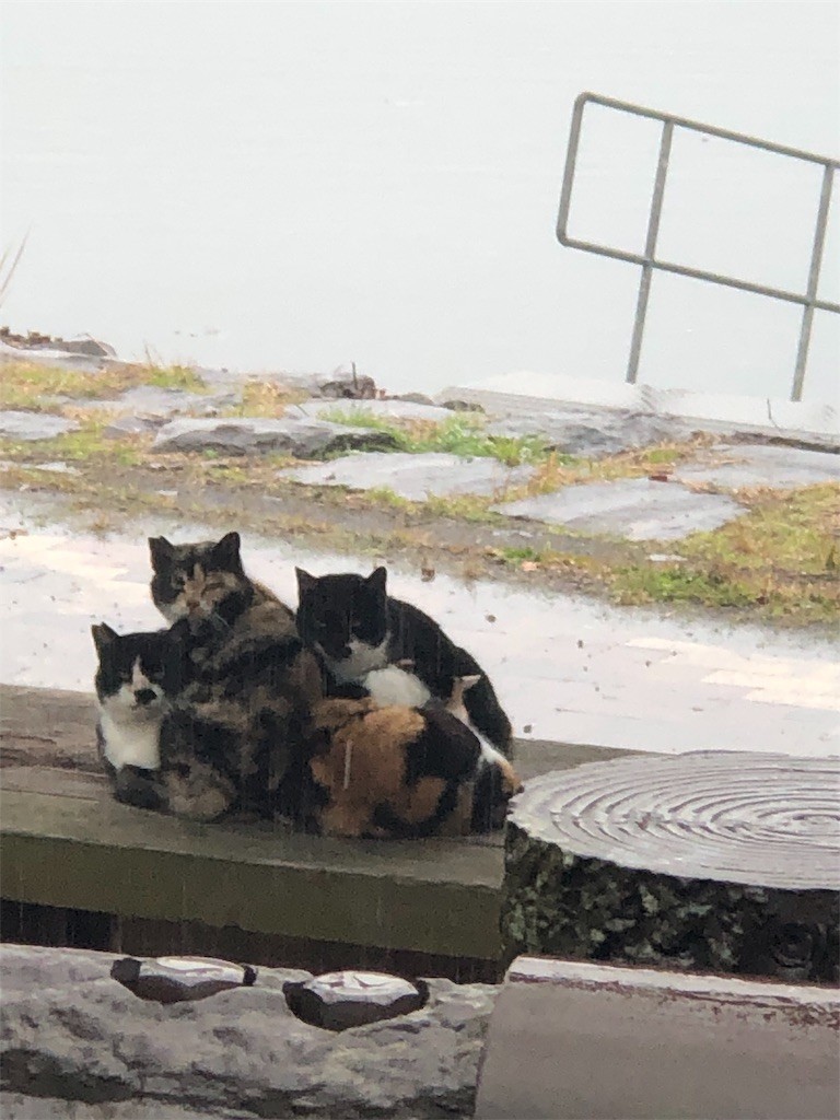 f:id:RyoKAWAGOE:20190210093036j:image f:id:RyoKAWAGOE:20190210093036j:image