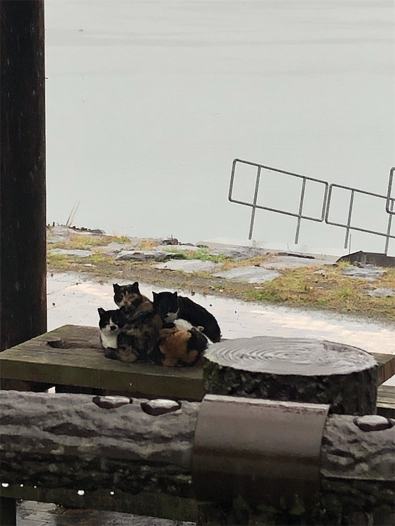 f:id:RyoKAWAGOE:20190210093111j:image f:id:RyoKAWAGOE:20190210093111j:image